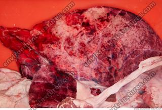 RAW meat pork 0219